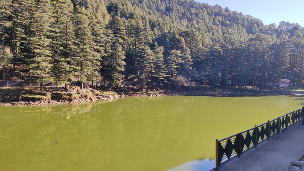 Taxi Service in Mcleodganj Dharamshala