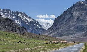 Taxi Service Dharamshala to Manali